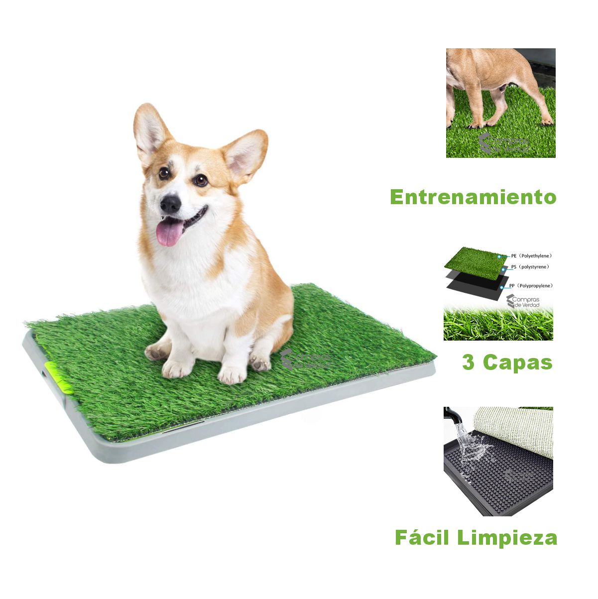 Miniatura 4 de Tapete Entrenamiento Para Perro Casa